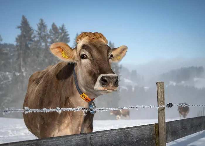 Hartungs Hoteldorf 3* フュッセン