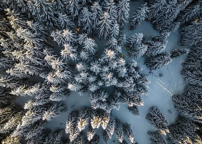 ホテル Hartungs Hoteldorf